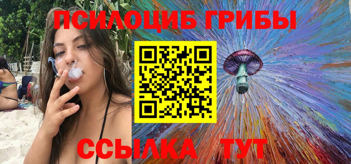 Псилоцибиновые грибы Psilocybine cubensis Саяногорск