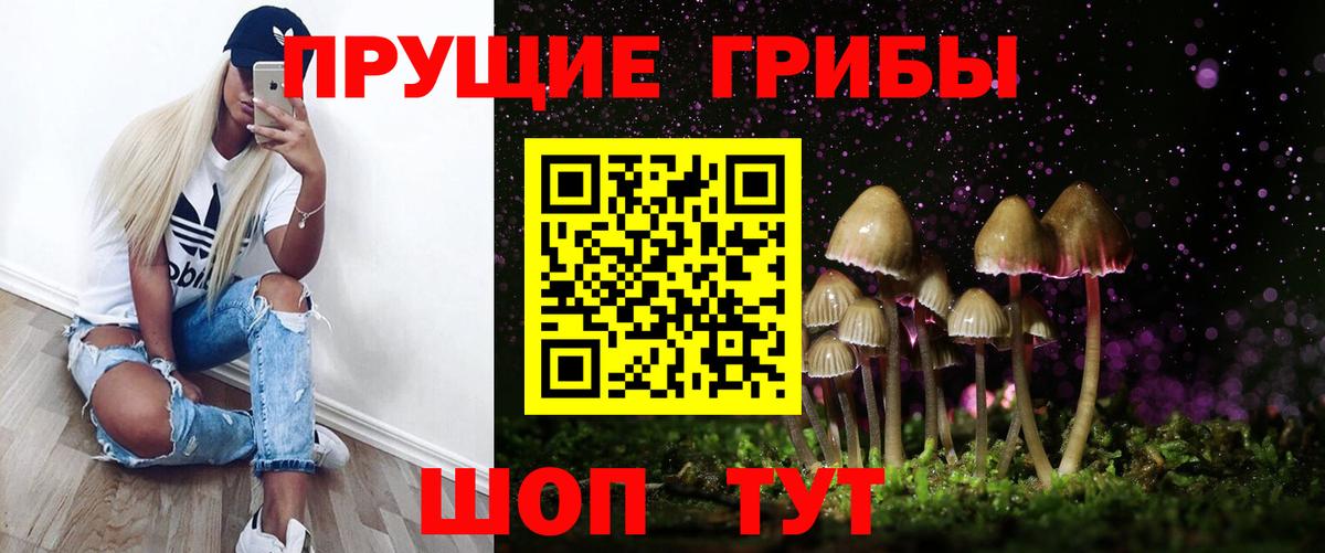 Галлюциногенные грибы Psilocybe  Вход с VPN  Саяногорск 
